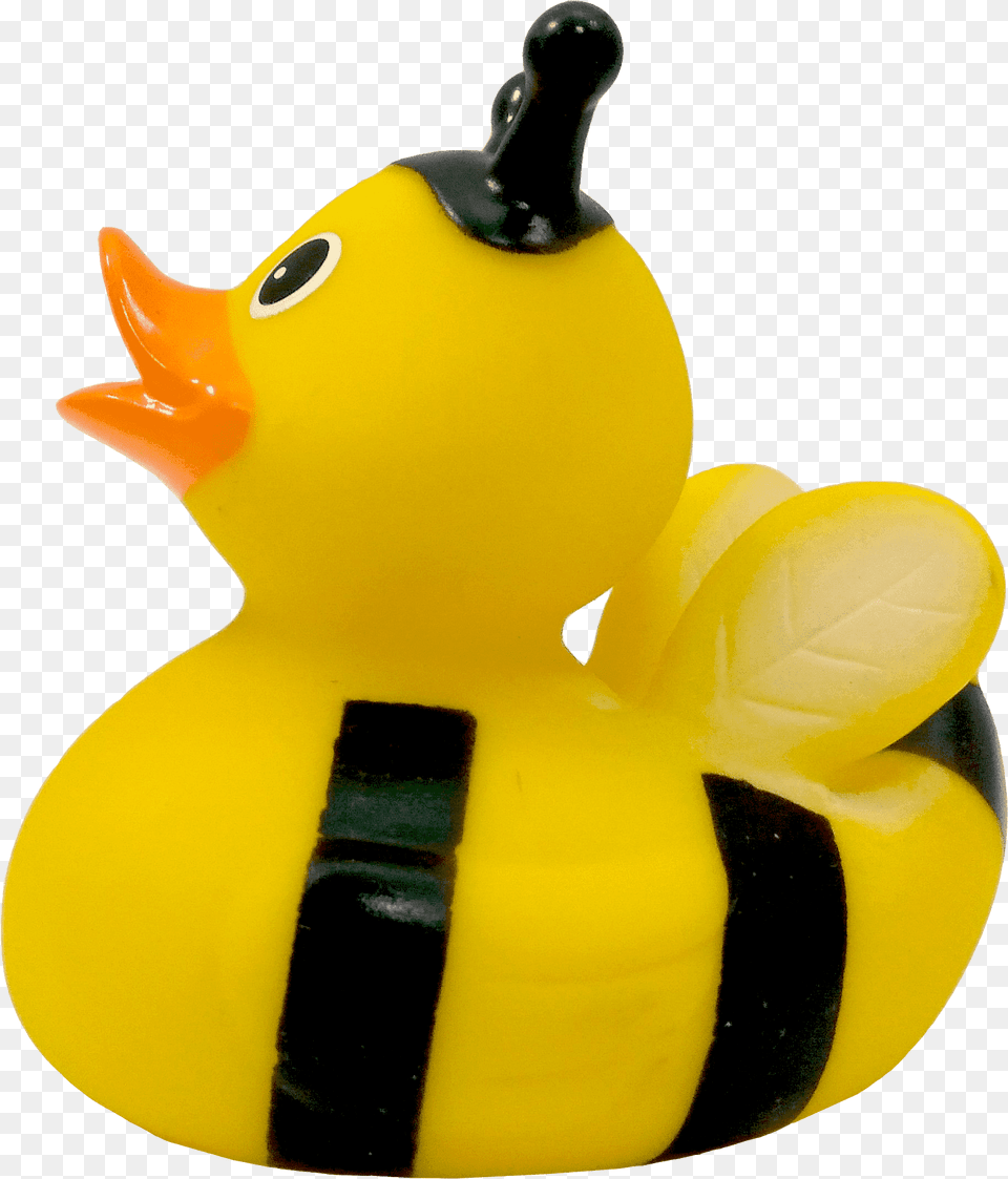 Rubber Duck Rubber Duck Free Transparent Png