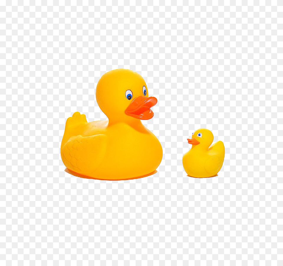Rubber Ducks, Animal, Bird, Duck, Toy Png Image