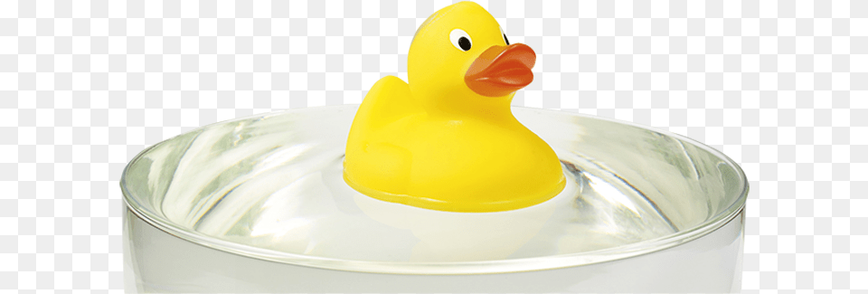 Rubber Ducky Png