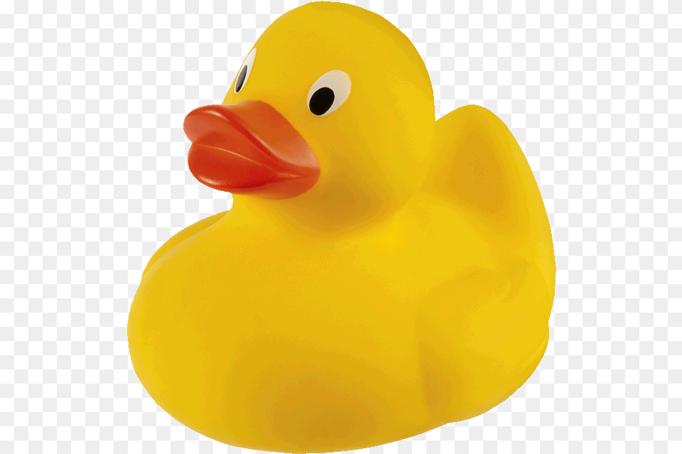 Rubber Ducky, Animal, Bird, Duck, Beak Free Png Download
