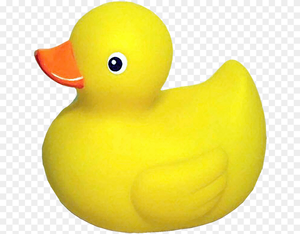 Rubber Ducky 5 Rubber Duck Transparent Background, Animal, Bird, Food, Fruit Png Image