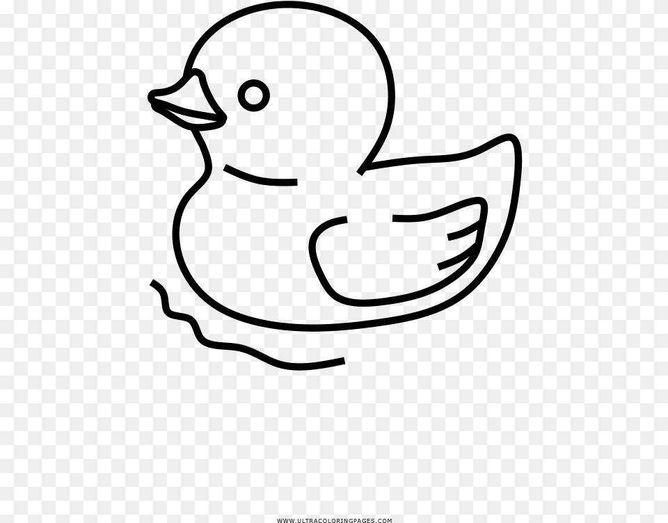 Rubber Ducky Coloring, Gray Free Transparent Png