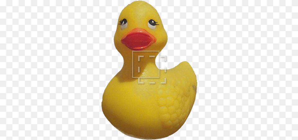Rubber Ducky Openclipart, Animal, Beak, Bird, Duck Png