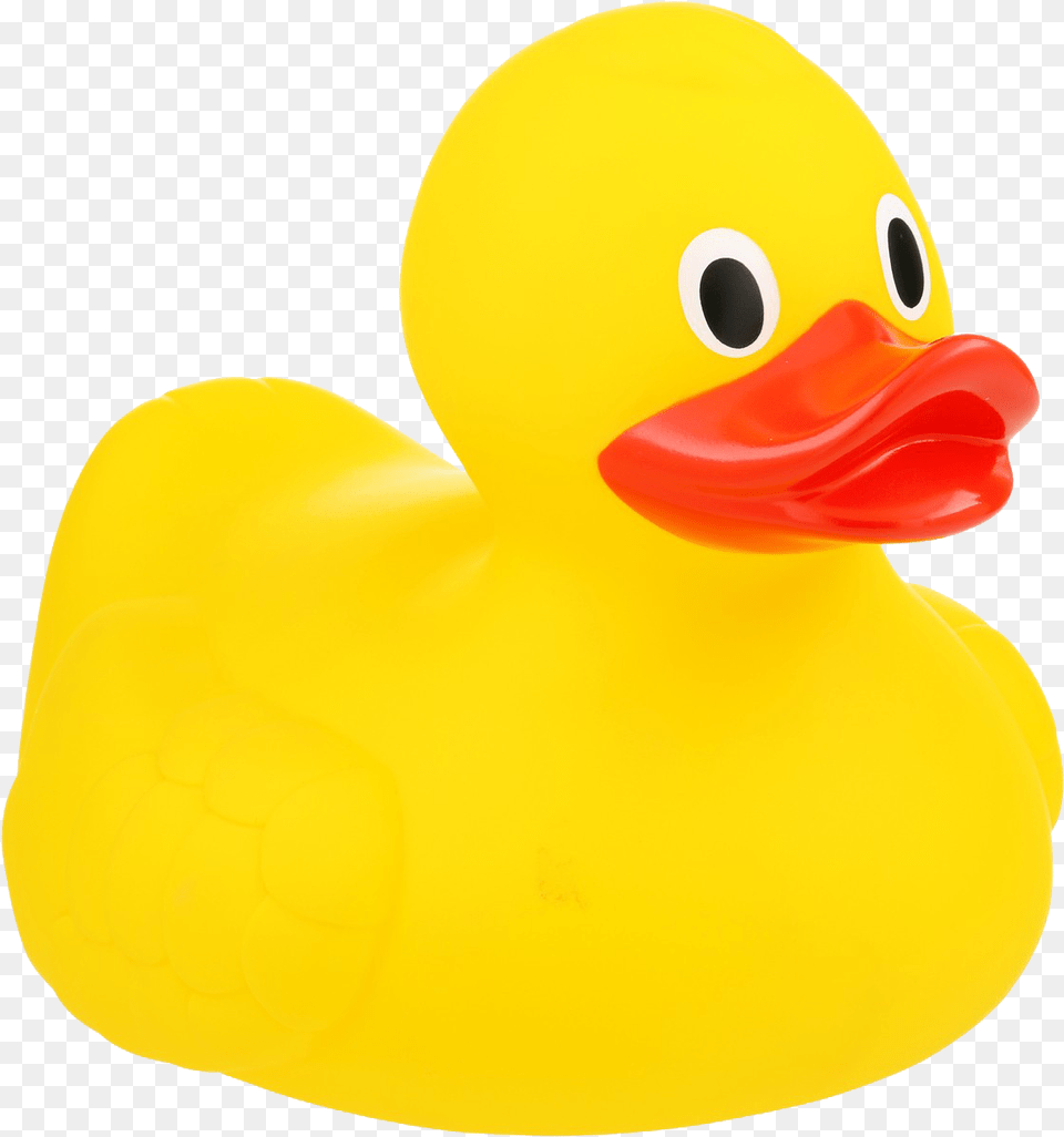 Rubber Duckybath Toyyellowtoyducks Geese And Swansduckbirdwater Rubber Duck Free, Animal, Bird, Beak Png Image