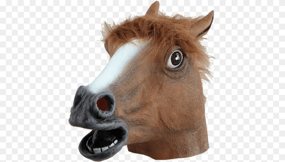 Rubber Horse Head, Snout, Animal, Mammal, Colt Horse Png
