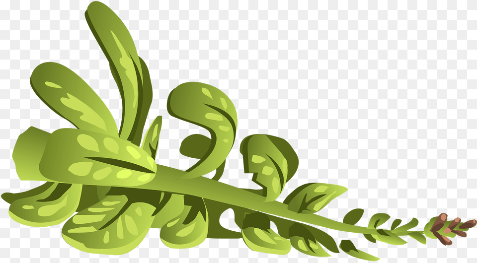 Rube Weed Clipart, Green, Art, Graphics, Plant Free Png