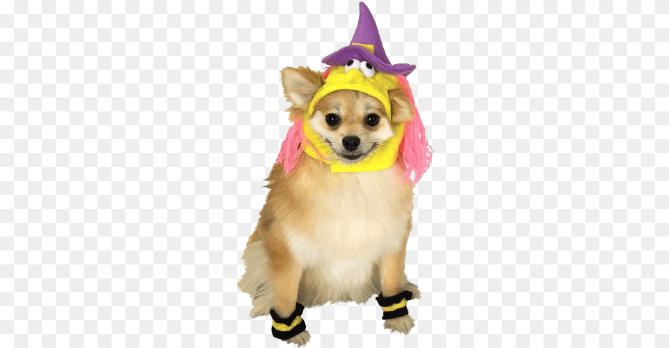 Rubies Princess Pet Costume X Large, Clothing, Hat, Animal, Canine Free Png Download
