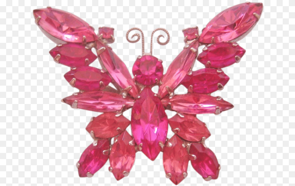 Ruby, Accessories, Earring, Jewelry, Plant Png Image
