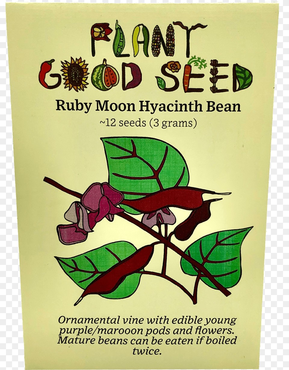 Ruby Moon Hyacinth Bean Seed, Advertisement, Herbal, Herbs, Leaf Free Transparent Png