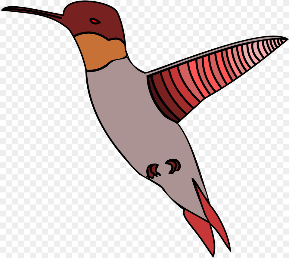 Ruby Throated Hummingbird, Animal, Bird Png