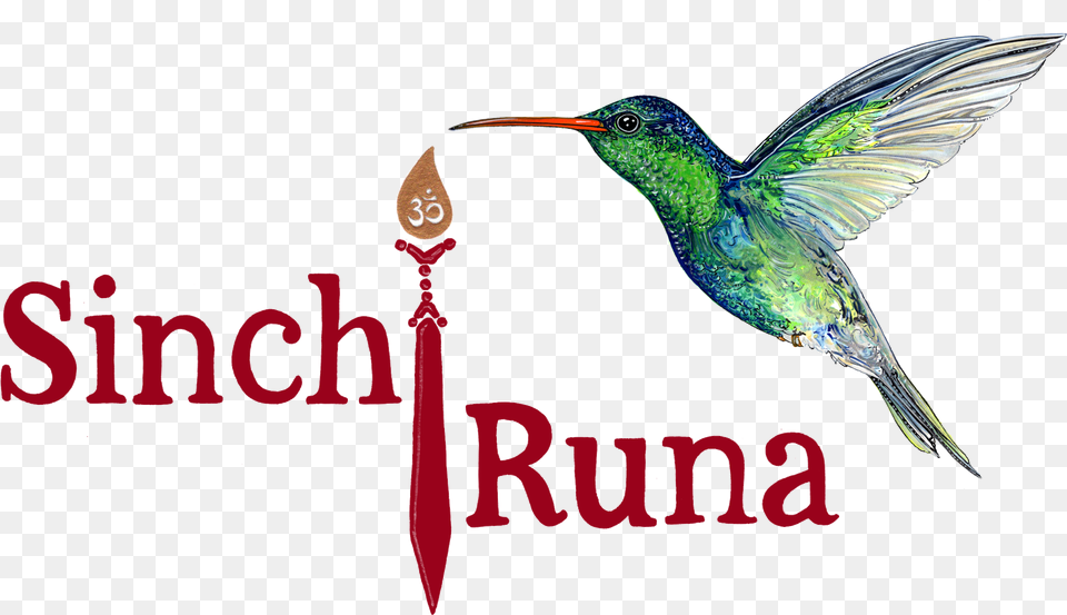 Ruby Throated Hummingbird, Animal, Beak, Bird, Cutlery Free Png