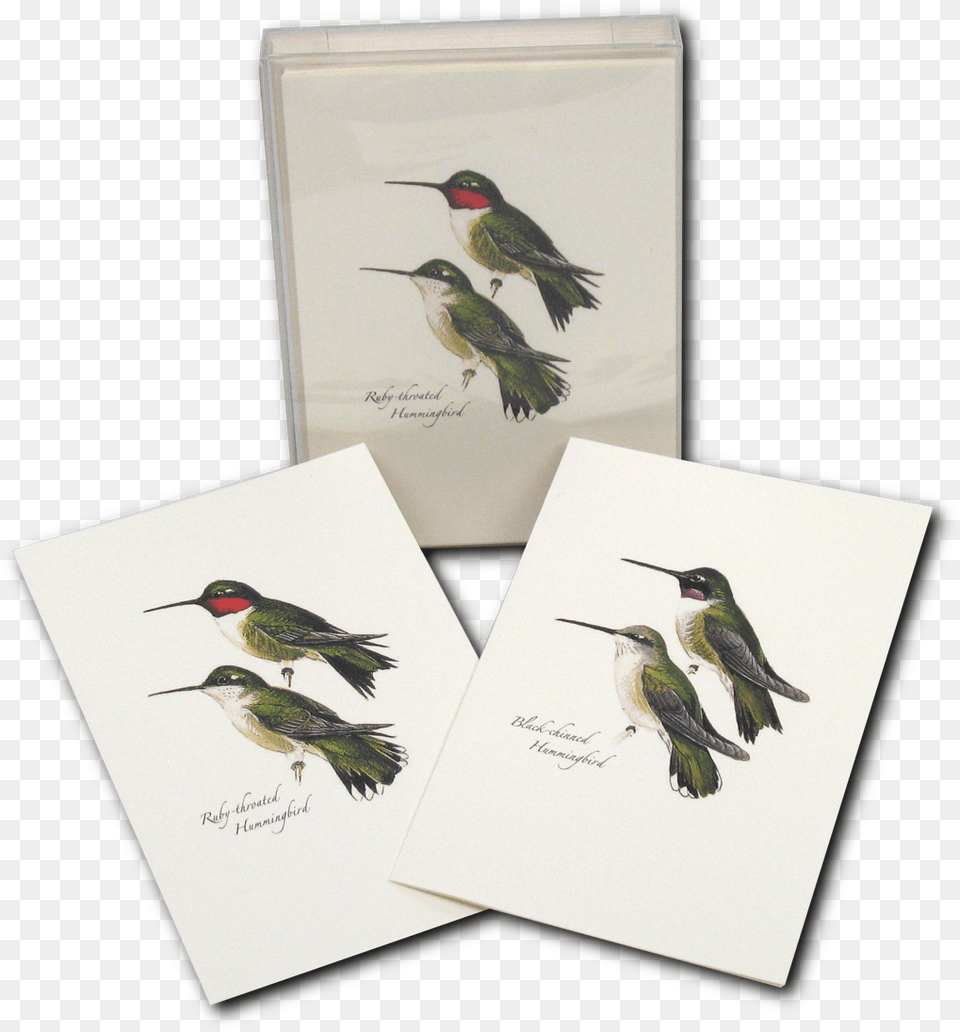 Ruby Throated Hummingbird, Animal, Bird Free Png Download