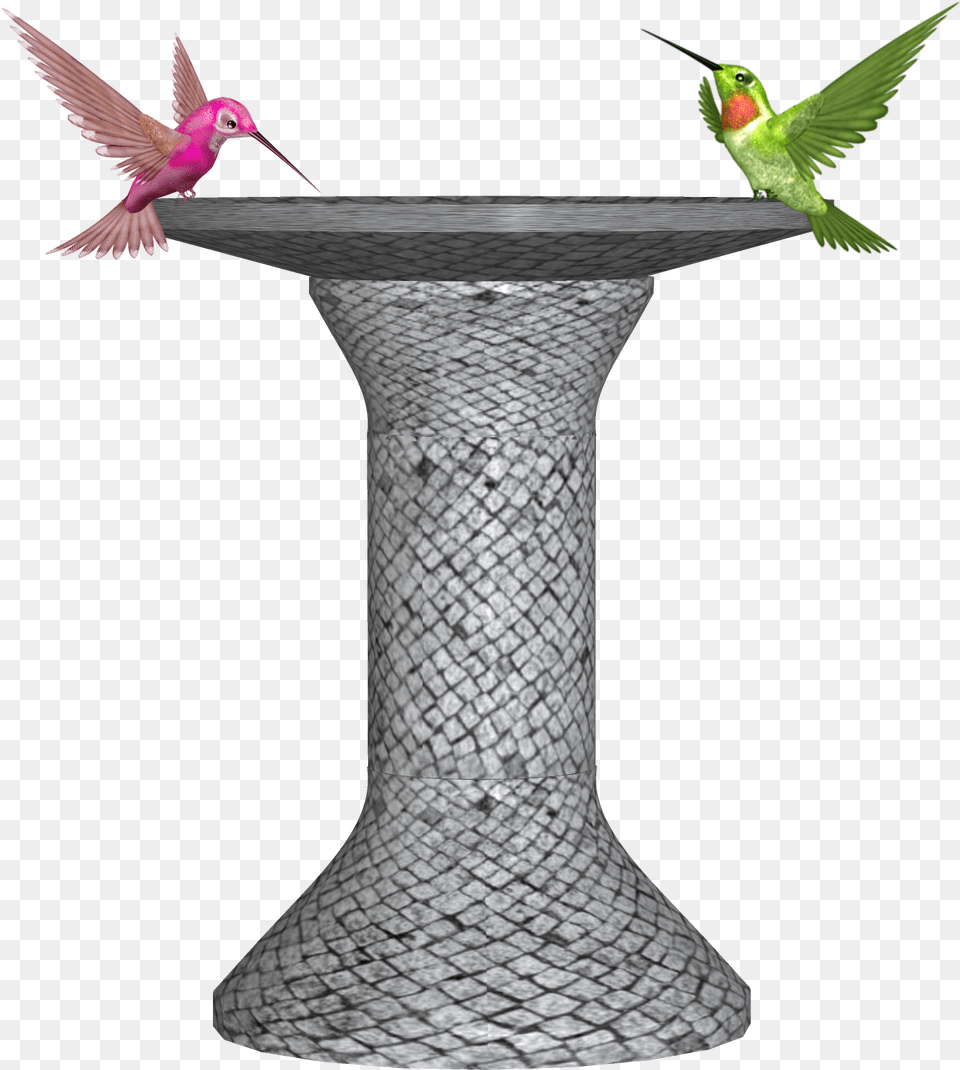 Ruby Throated Hummingbird Clipart Download Hummingbird, Animal, Bird Free Png