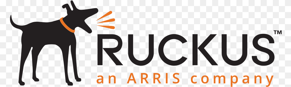 Ruckus An Arris Company, Person Free Transparent Png