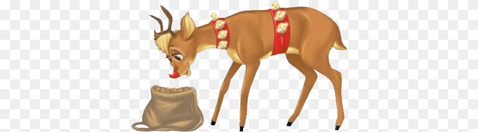 Rudolph Christmas Picture Arts Transparent Reindeer Rudolph Red Nose, Animal, Deer, Mammal, Wildlife Png Image