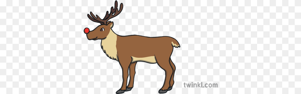 Rudolph Reindeer Measurement Animal Character Open Eyes Ks1 Animal Figure, Deer, Mammal, Wildlife, Elk Free Png