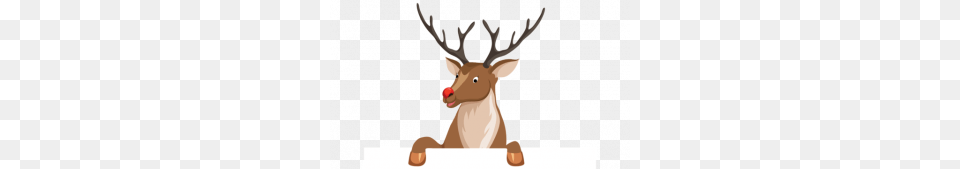 Rudolph The Red Nose Reindeer Facts The Bend, Animal, Deer, Mammal, Wildlife Free Transparent Png