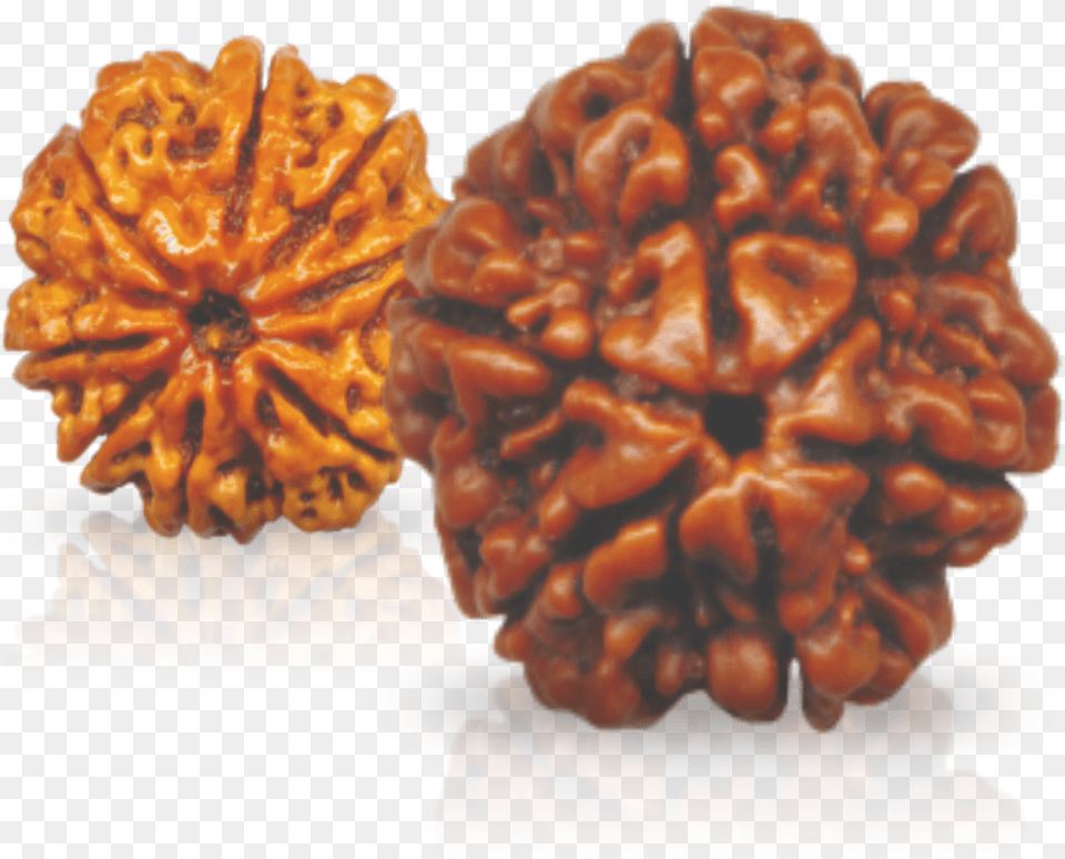 Rudraksha Beads, Food, Nut, Plant, Produce Free Png