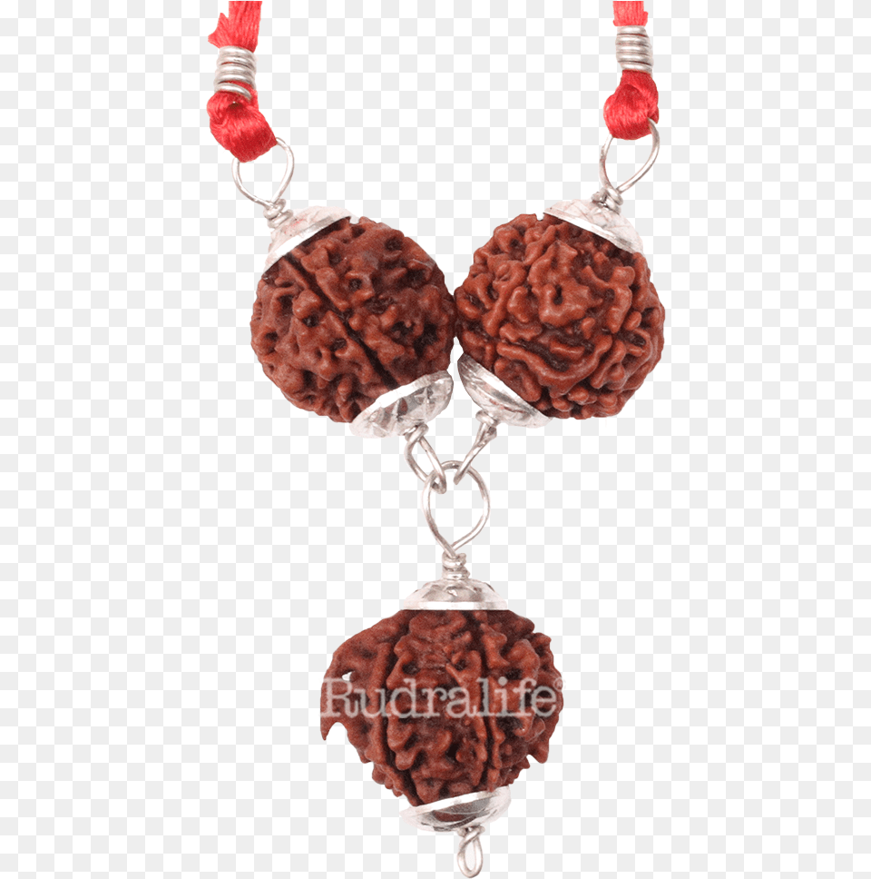 Rudraksha Saraswati Bandh B Rudraksha Bead, Accessories, Earring, Jewelry, Necklace Free Png Download