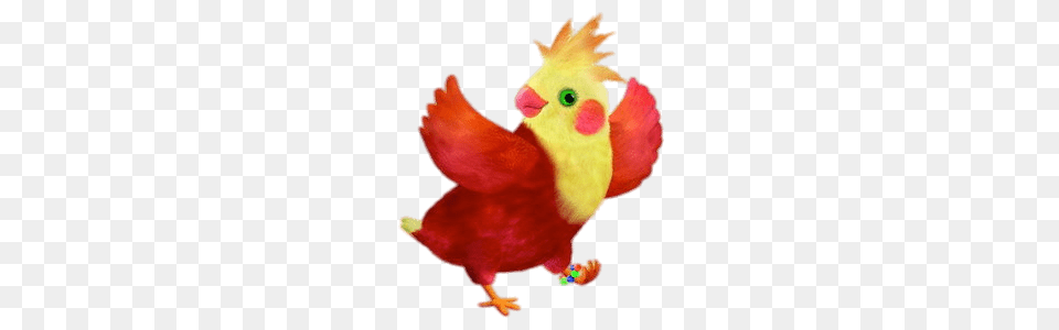 Rudy, Animal, Beak, Bird, Chicken Png