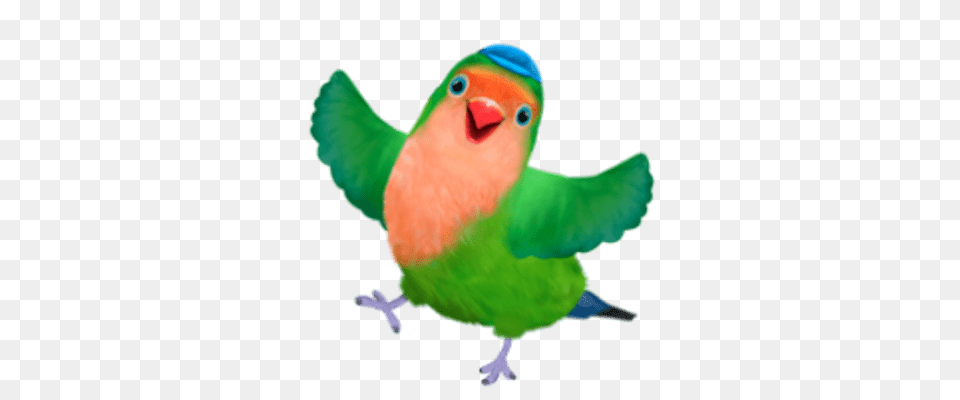 Rudy The Cockatoo Transparent, Animal, Bird, Parakeet, Parrot Free Png Download