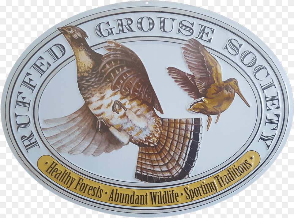 Ruffed Grouse Society, Animal, Bird Png