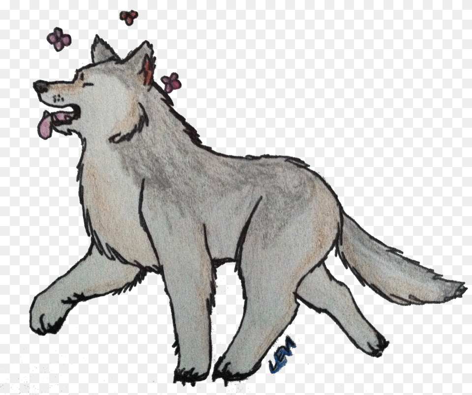 Rugbii Irving Souls Wiki, Animal, Mammal, Wolf, Canine Free Png Download