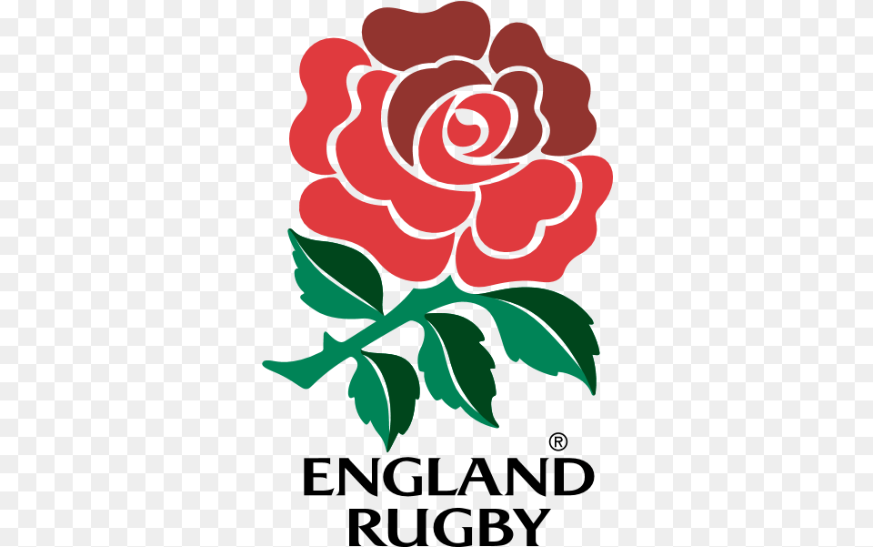 Rugby Football Union Logo Download England Rugby Logo, Flower, Plant, Rose, Art Free Transparent Png