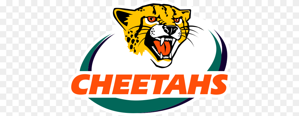 Rugby Union Teams South African Rugby Team Logos, Logo, Animal, Cheetah, Mammal Free Transparent Png