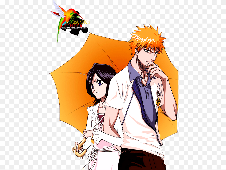 Rukia E Ichigo Bleach Ichigo And Rukia, Adult, Publication, Person, Woman Free Png Download