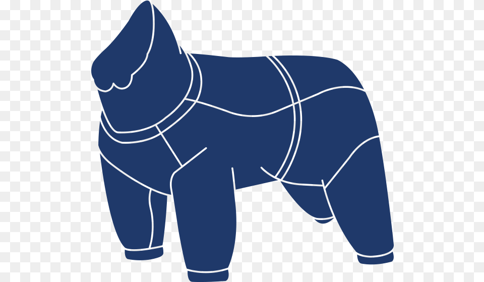 Rukka Dog Jacket Png Image