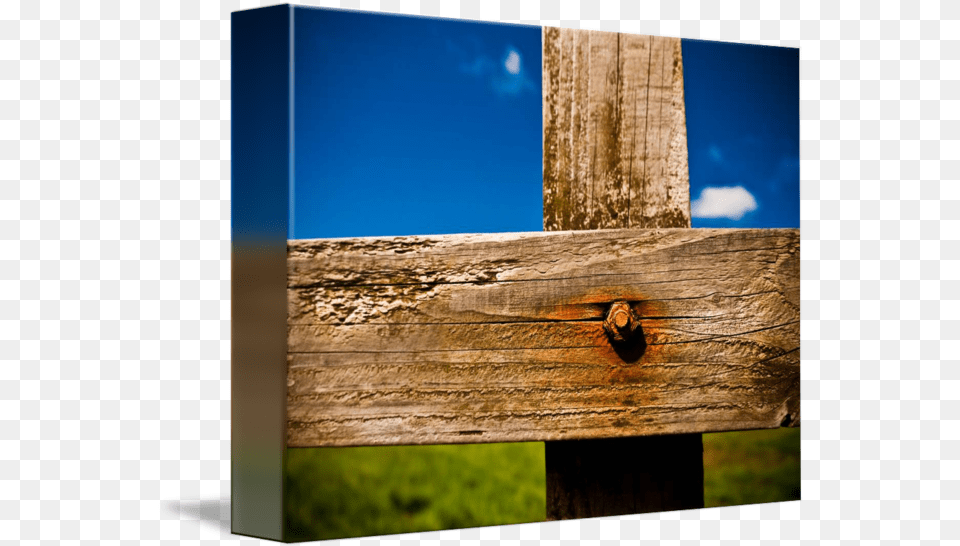 Rule Of Thirds By Matthew Osborne Plank, Wood, Hardwood Free Png