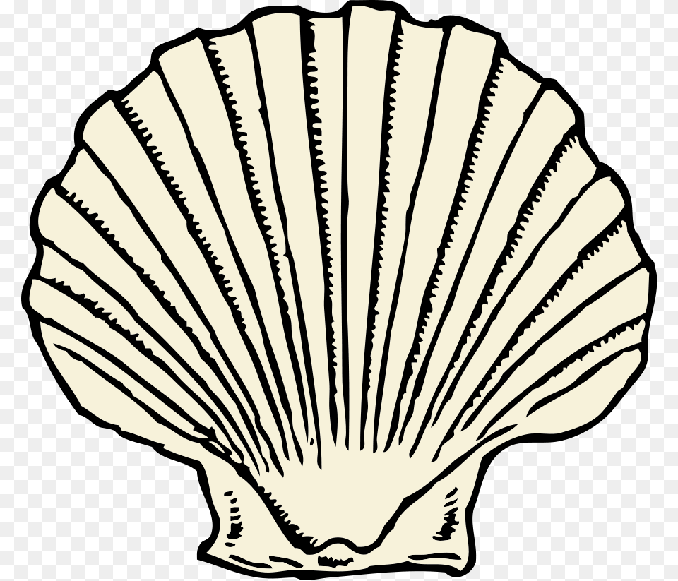 Ruler Clip Art, Animal, Clam, Food, Invertebrate Png Image