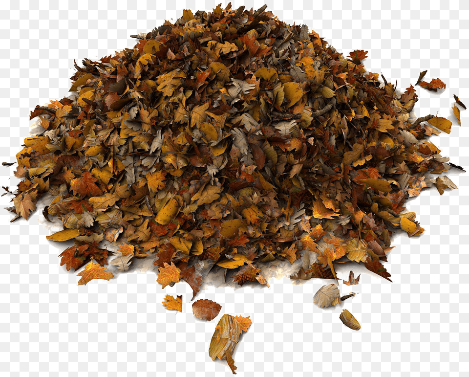 Rummage Sale Pile Of Leaves Brown Leaf Pile, Plant, Herbal, Herbs, Tobacco Free Transparent Png