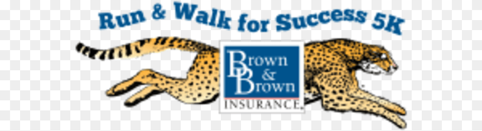 Run Amp Walk For Success 5k Presented By Brown Amp Brown Brown Amp Brown Inc, Animal, Cheetah, Mammal, Wildlife Free Png