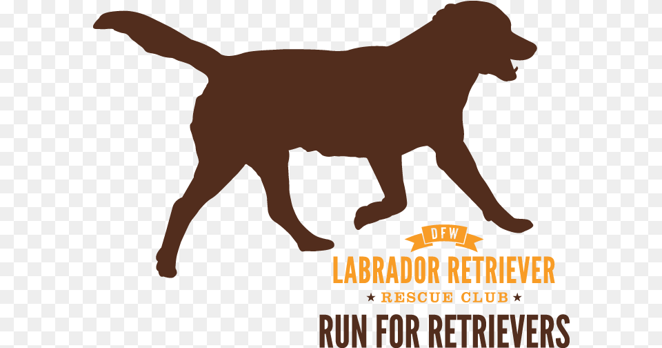 Run For Retrievers Logo Amazon Dot Amazon Dot For Beginners Everything You, Person, Animal, Canine, Dog Free Transparent Png