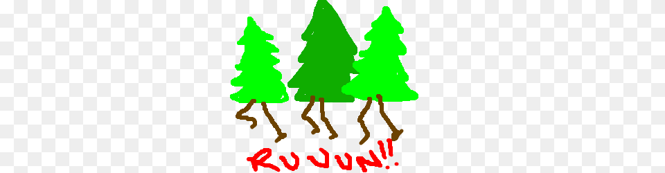 Run Forrest Run, Plant, Tree, Christmas, Christmas Decorations Free Transparent Png