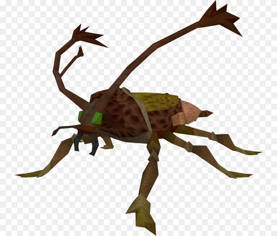 Runescape Cockroach, Bow, Weapon, Animal, Cricket Insect Png