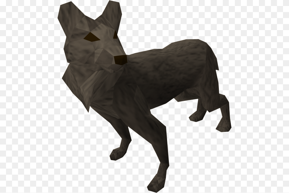 Runescape Dog, Animal, Coyote, Mammal, Adult Free Transparent Png