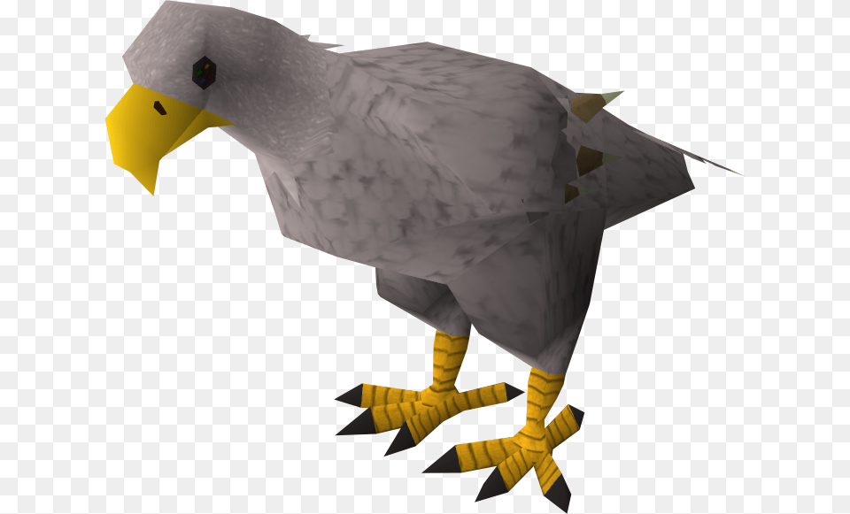 Runescape Giant Bird Cave, Animal, Beak Free Png Download