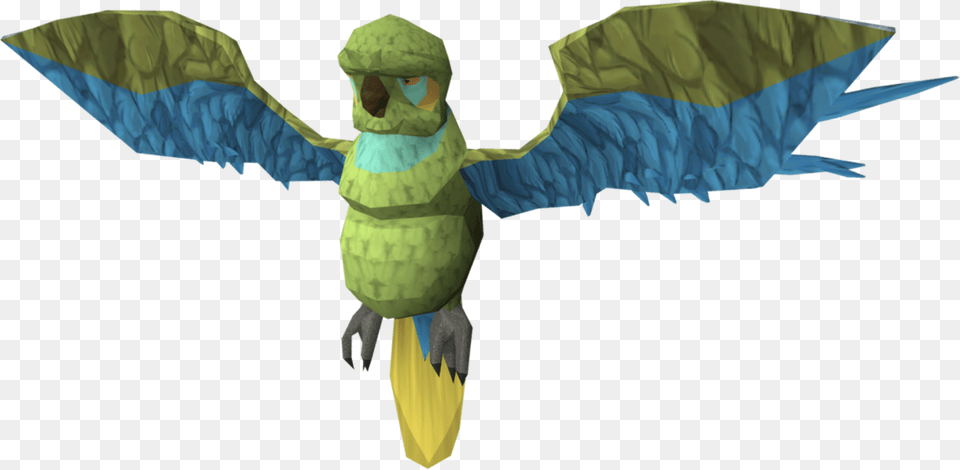 Runescape Parrot, Baby, Person, Animal Free Png Download