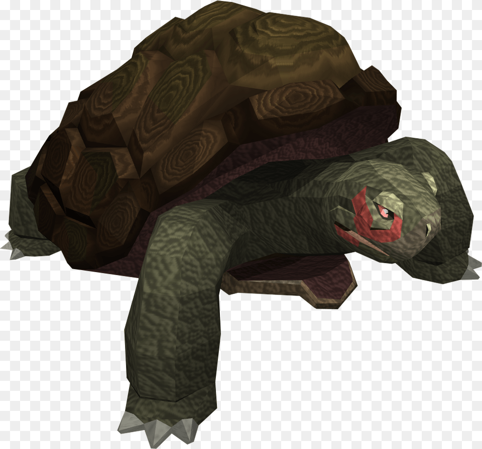 Runescape Tortoise, Animal, Reptile, Sea Life, Turtle Free Png