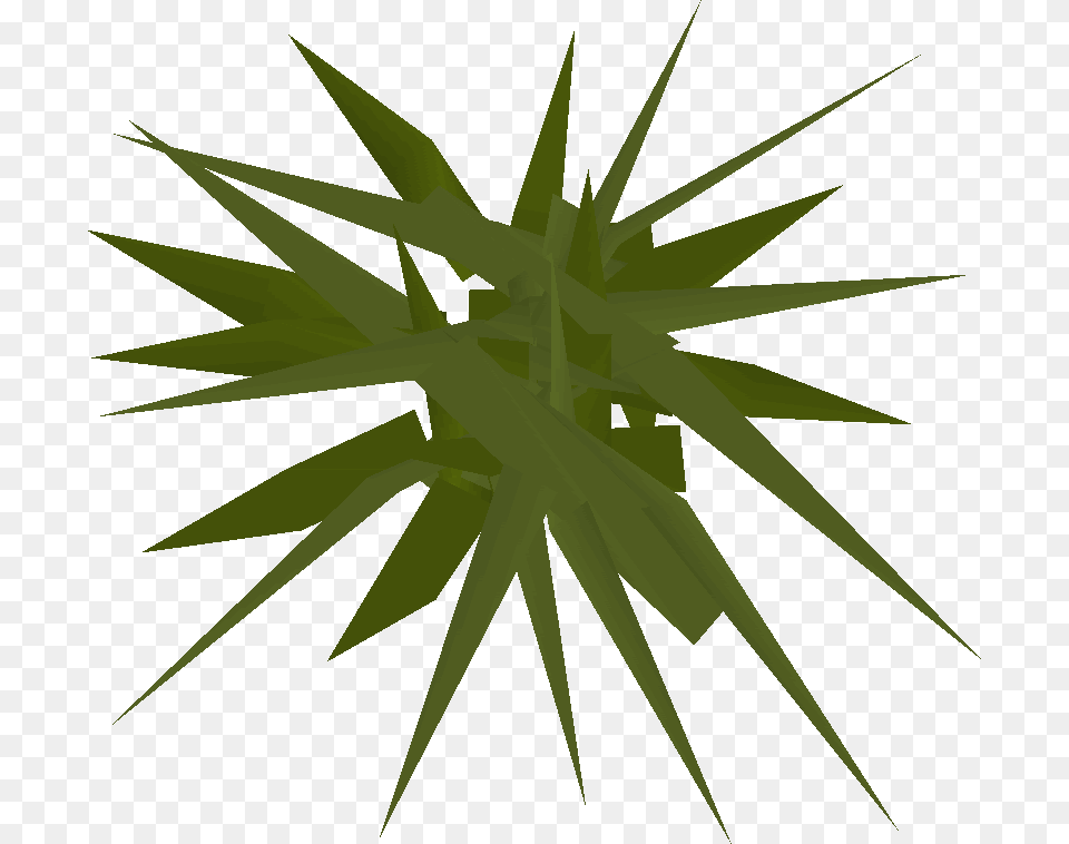 Runescape Weeds, Leaf, Green, Plant, Art Free Transparent Png