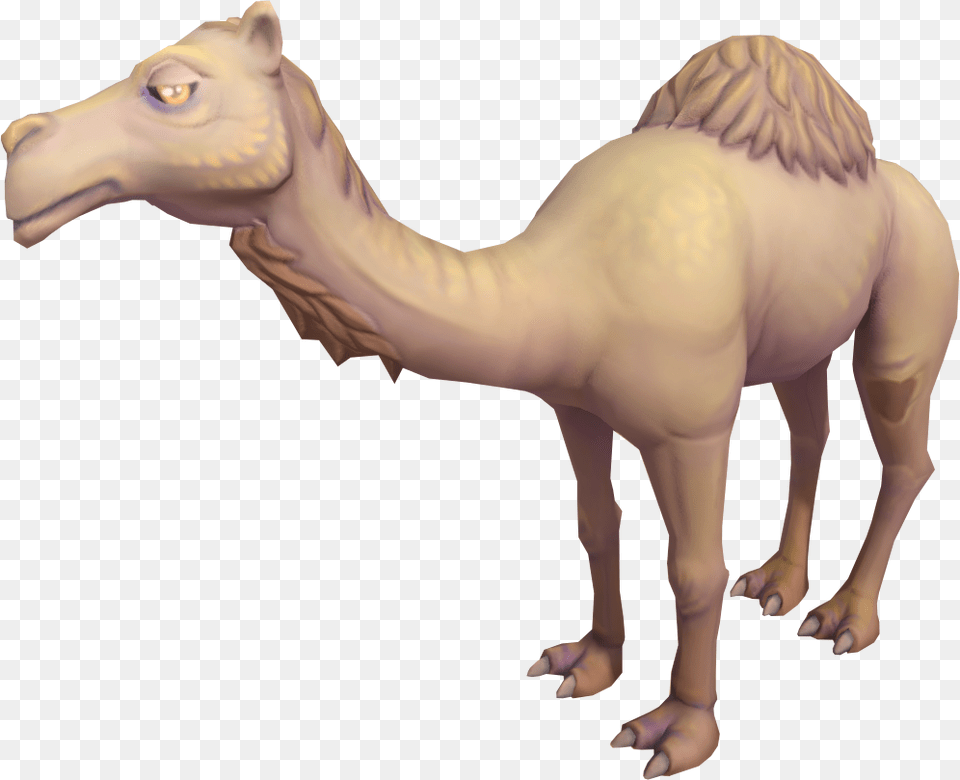 Runescape Wiki Camel, Animal, Mammal, Dinosaur, Reptile Free Transparent Png