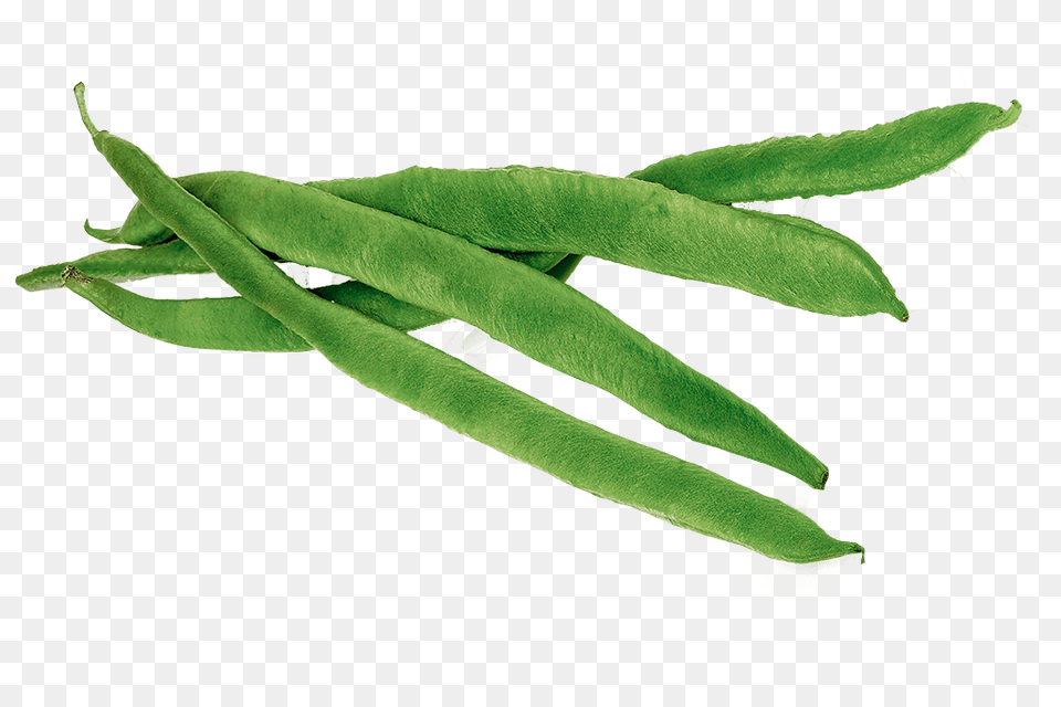 Runner Beans, Bean, Food, Plant, Produce Free Transparent Png