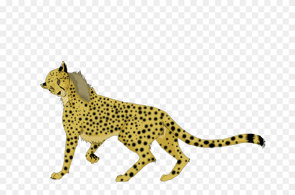 Running Cheetah Background Arts, Animal, Mammal, Wildlife, Panther Png Image