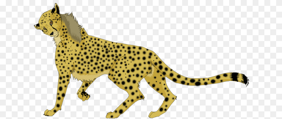 Running Cheetah Background Cheetah, Animal, Mammal, Wildlife, Panther Png Image