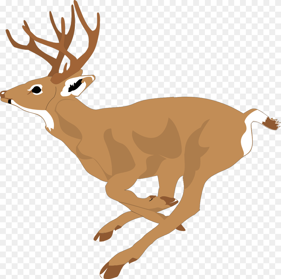 Running Deer Clip Art Running Deer Clipart, Animal, Mammal, Wildlife, Elk Png