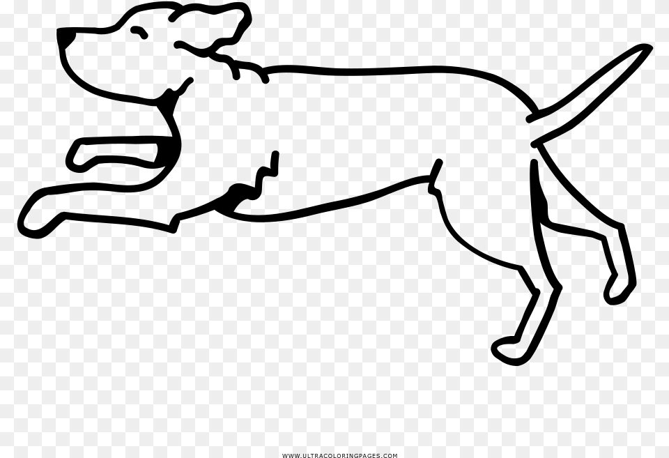 Running Dog Coloring, Gray Free Transparent Png