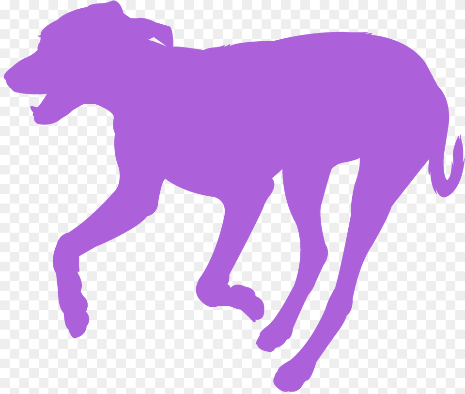Running Dog Silhouette, Animal, Mammal, Canine, Pet Free Transparent Png